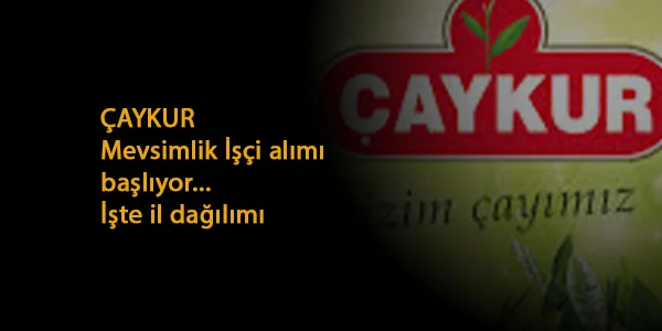 ÇAYKUR 500 kişi alacak: İl dağılımı ve başvuru yöntemi