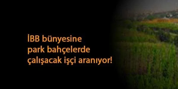 İBB bünyesine KPSS şartsız 1000 kişi alınacak!