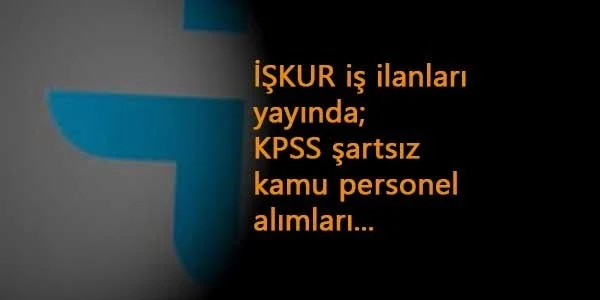 İŞKUR'dan kamu ilanları başladı: DSİ-Üniversite-Et ve Süt Kurumu-TEİAŞ