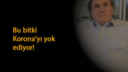 İbrahim Saraçoğlu Korona'yı yok eden bitkiyi açıkladı