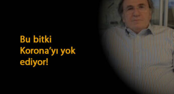 İbrahim Saraçoğlu Korona'yı yok eden bitkiyi açıkladı