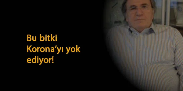 İbrahim Saraçoğlu Korona'yı yok eden bitkiyi açıkladı