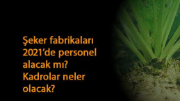 Şeker Fabrikaları 2021'de personel alacak mı? Hangi kadrolar olacak?