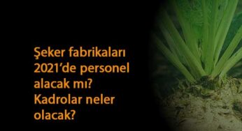 Şeker Fabrikaları 2021'de personel alacak mı? Hangi kadrolar olacak?