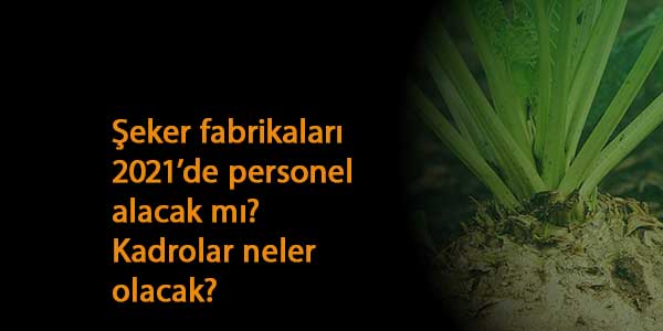 Şeker Fabrikaları 2021'de personel alacak mı? Hangi kadrolar olacak?
