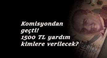 282 bin kişi yararlanacak: 1500 TL destek başvuru şartları nelerdir? Başvurular ne zaman?