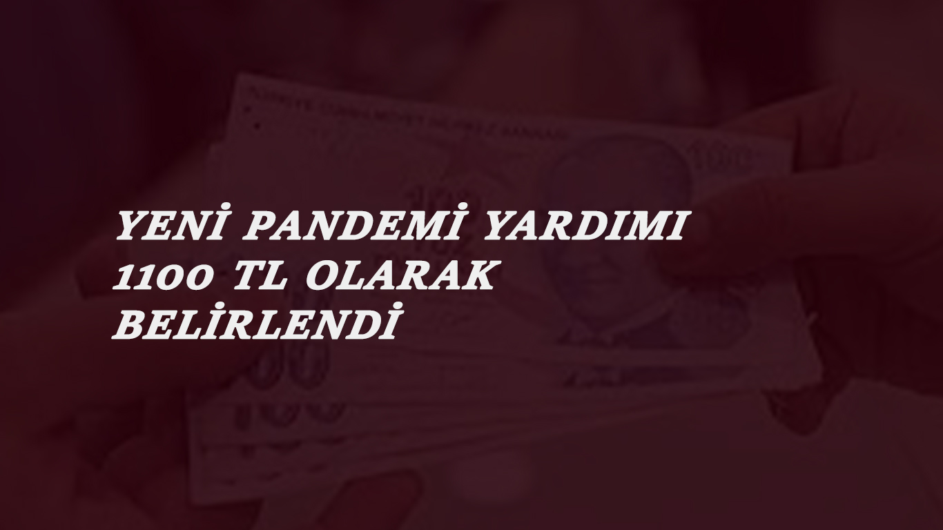 1100 TL pandemi sosyal destek geliyor: Nasıl başvurulur? Kimler alacak?