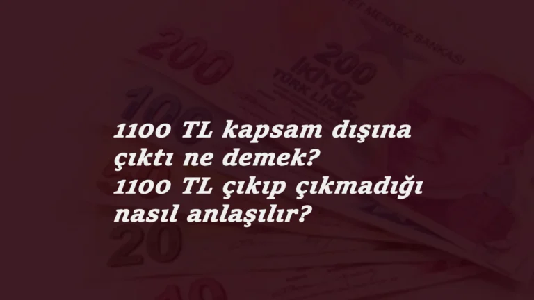 1100 TL yardım Kapsam Dışı ve Kapsam Dışına çıktı ne demek? İlk sonuçlar geliyor