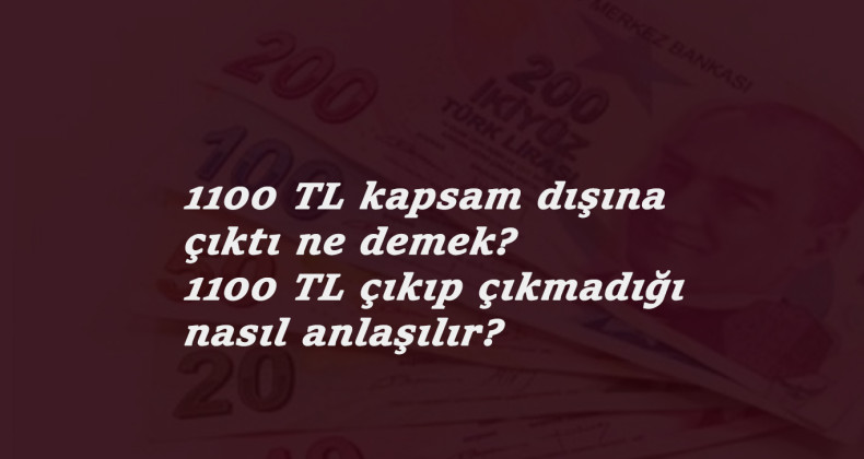 1100 TL yardım Kapsam Dışı ve Kapsam Dışına çıktı ne demek? İlk sonuçlar geliyor