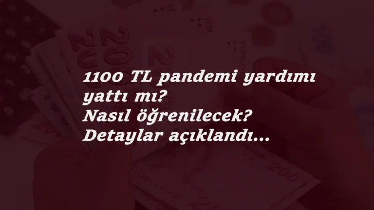 1100 TL pandemi yardımı yattı mı? Nasıl sorgulanacak? 1100 TL pandemi destek sonucu öğren