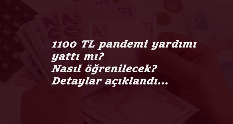 1100 TL pandemi yardımı yattı mı? Nasıl sorgulanacak? 1100 TL pandemi destek sonucu öğren