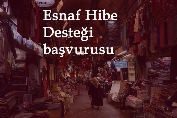 e-Devlet Esnaf Hibe Desteği başvurusu nasıl yapılır? 3000 TL ve 5000 TL başvuru yöntemi