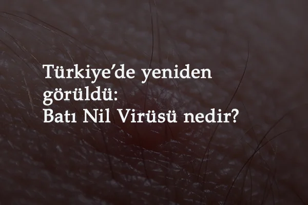 Covid kadar tehlikeli ve Türkiye'ye geldi: Batı Nil Virüsü nedir?