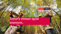 İzmir'e orman işçisi alınacak: OGM işçi alımı sürüyor