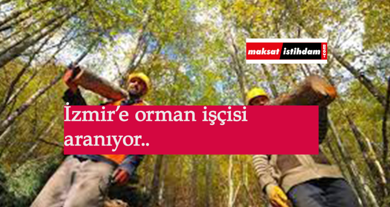 İzmir'e orman işçisi alınacak: OGM işçi alımı sürüyor