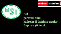 DSİ 2005 personel alımı yapacak: Bekçi ve çeşitli personeller aranıyor