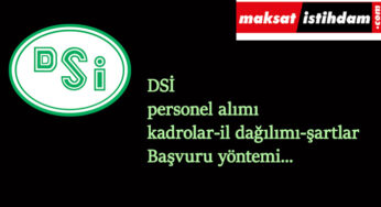 DSİ 2005 personel alımı yapacak: Bekçi ve çeşitli personeller aranıyor