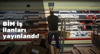 Güncel BİM ve File personel alımı başladı: Çok sayıda iş ilanı var