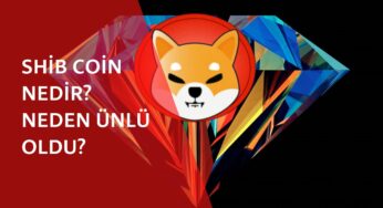 Shib Coin nedir? Neden bu kadar popüler oldu?