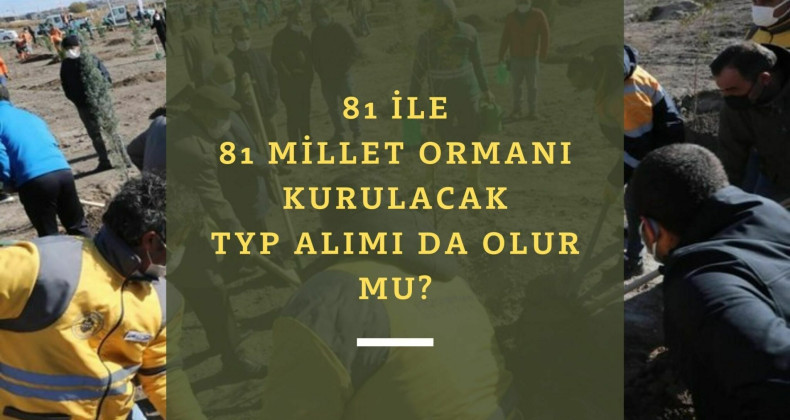81 ile 81 millet ormanı gelecek: TYP alımı olur mu?