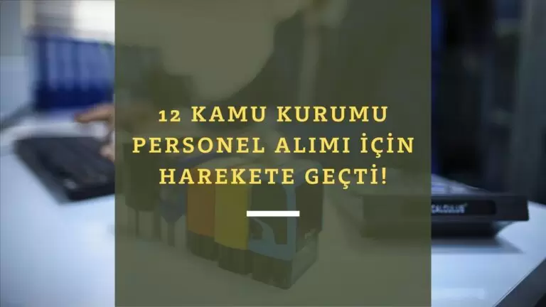 12 kamu kurumu birden kamu personel alımı ilanı yayınladı