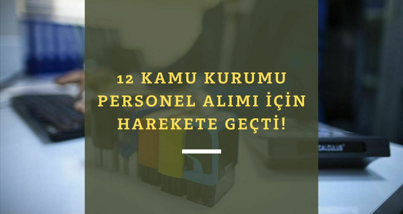 12 kamu kurumu birden kamu personel alımı ilanı yayınladı