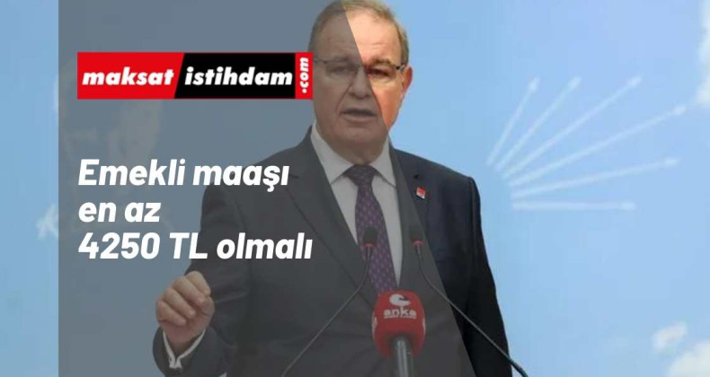 Emekli maaşı 2022 için talep: 4250 TL olmalı