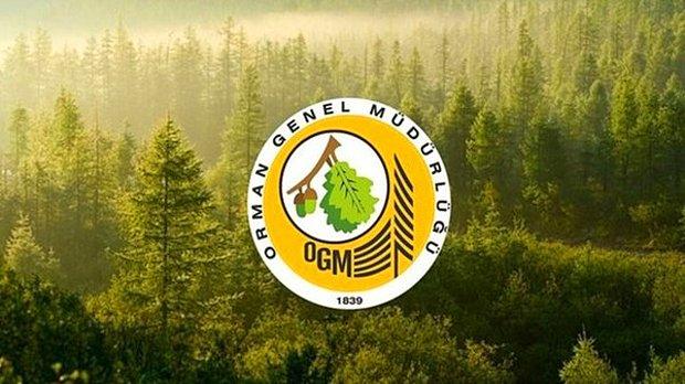 OGM TYP alımı 2022