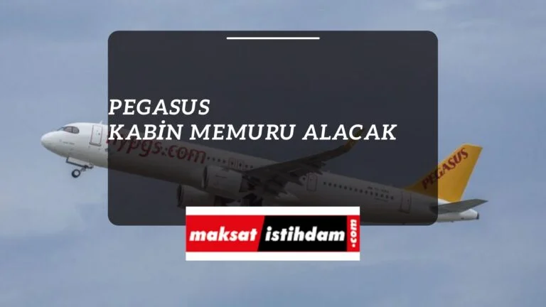 Pegasus kabin memuru alımı 2022