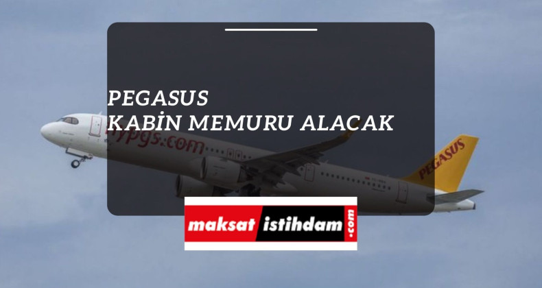 Pegasus kabin memuru alımı 2022 başladı!