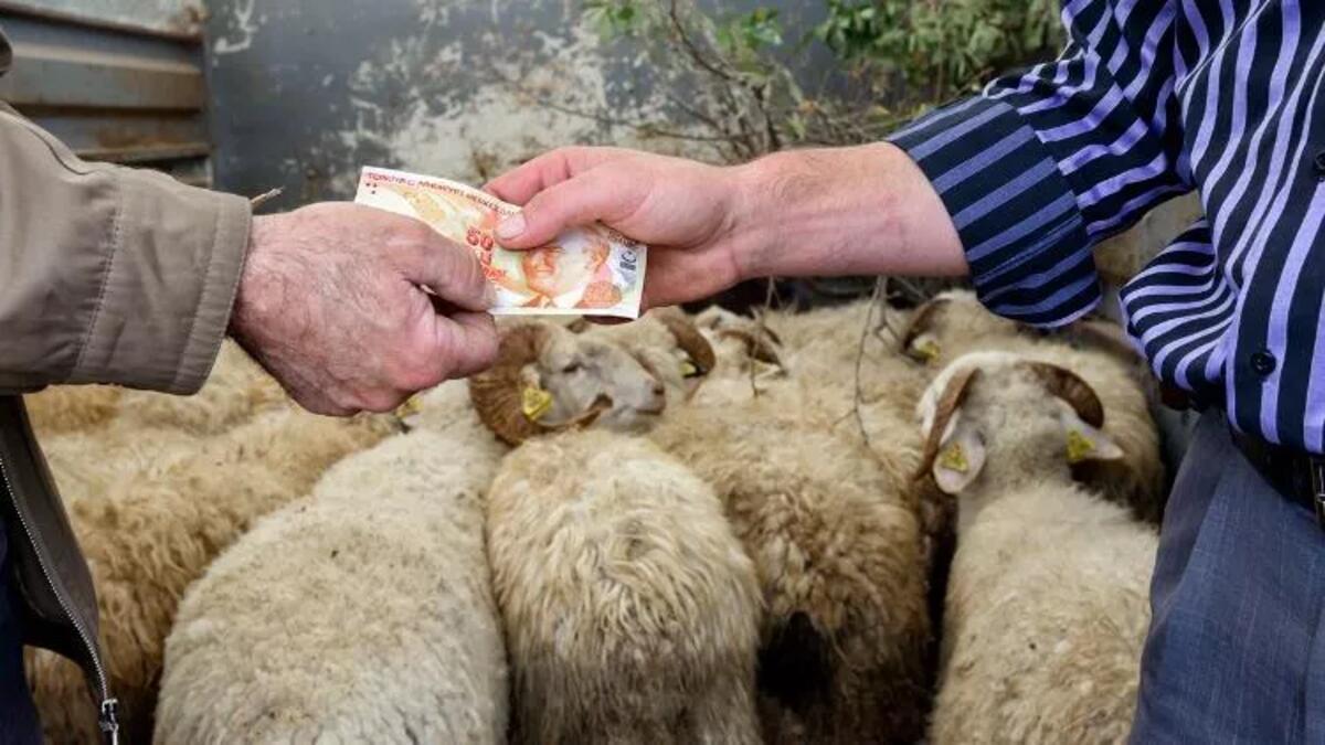 2022 Kurban Bayramı Öncesi Memur Maaşları