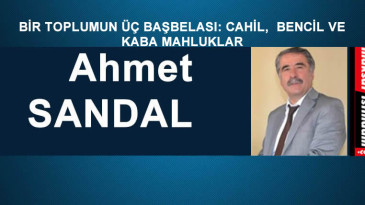 BİR TOPLUMUN ÜÇ BAŞBELASI: CAHİL, BENCİL VE KABA MAHLUKLAR