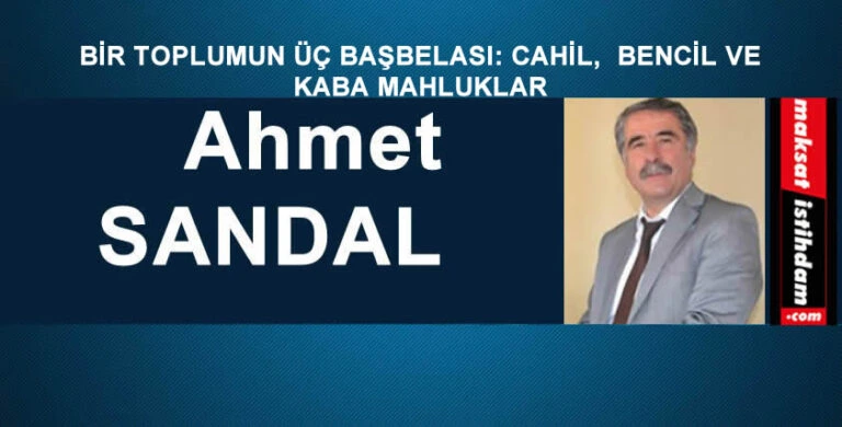 BİR TOPLUMUN ÜÇ BAŞBELASI: CAHİL, BENCİL VE KABA MAHLUKLAR