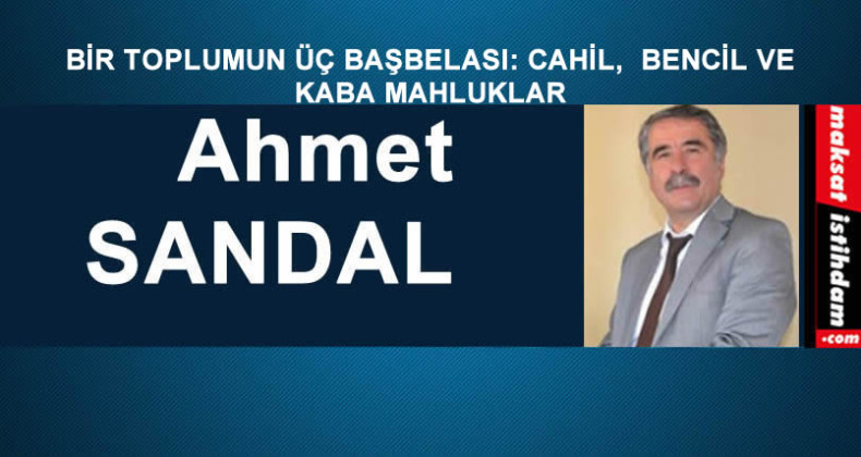 BİR TOPLUMUN ÜÇ BAŞBELASI: CAHİL, BENCİL VE KABA MAHLUKLAR