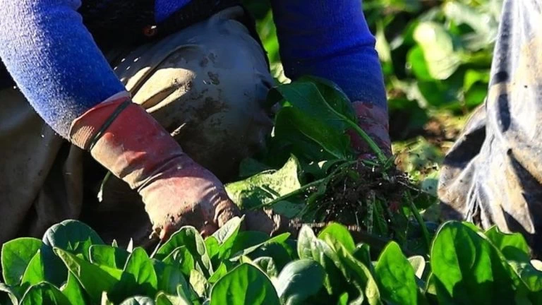 Kadın girişimcilere 'TKDK Proje Hazırlama Eğitimi' başlıyor