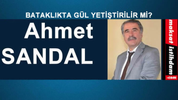 BATAKLIKTA GÜL YETİŞTİRİLİR Mİ?