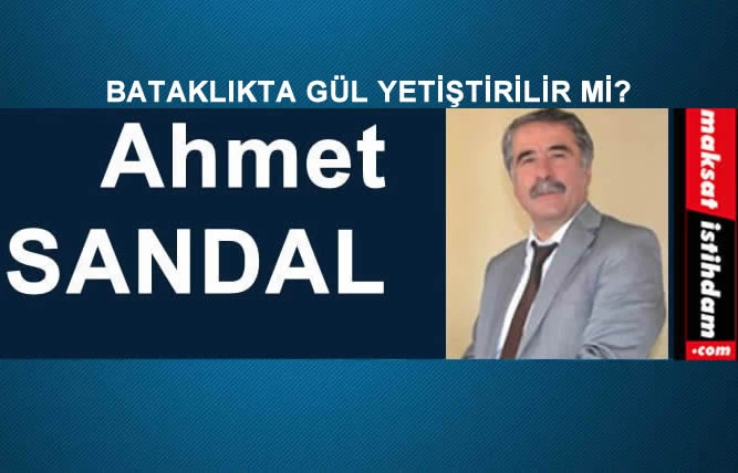 BATAKLIKTA GÜL YETİŞTİRİLİR Mİ?