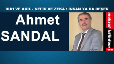 RUH VE AKIL / NEFİS VE ZEKA : İNSAN YA DA BEŞER