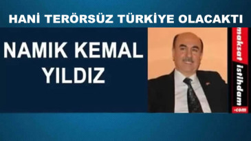 HANİ TERÖRSÜZ TÜRKİYE OLACAKTI