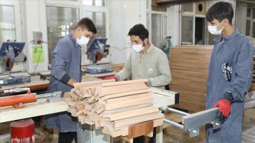 Gençlerde Mesleksizlik ve İşsizlik Sorunu Nasıl Çözülür?