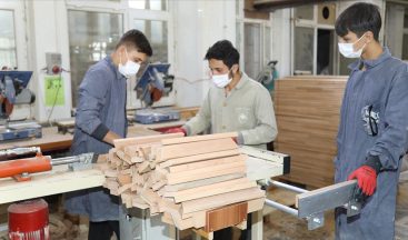 Gençlerde Mesleksizlik ve İşsizlik Sorunu Nasıl Çözülür?